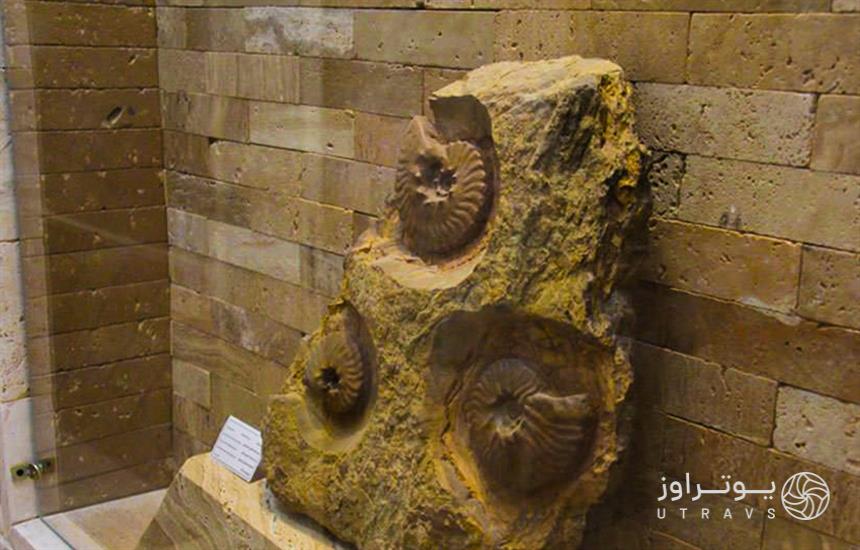 Mashhad Paleontological Museum