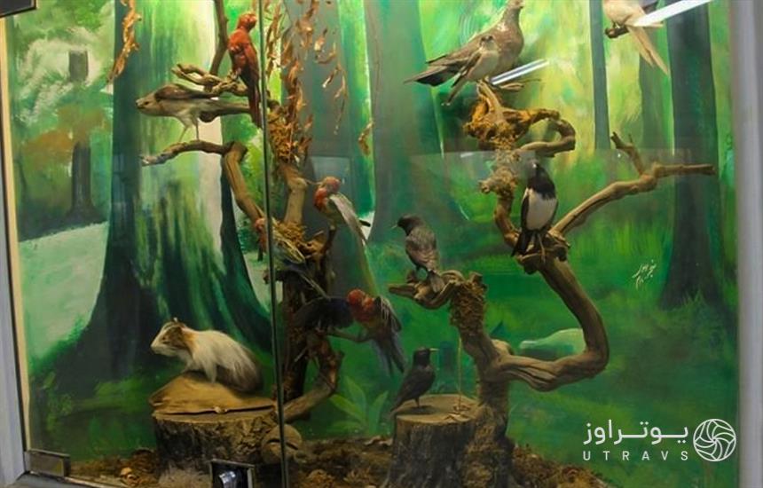 Museum of Science and Natural History of Khorasan Razavi