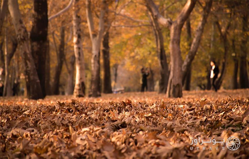 مکان های دیدنی مشهد در پاییز