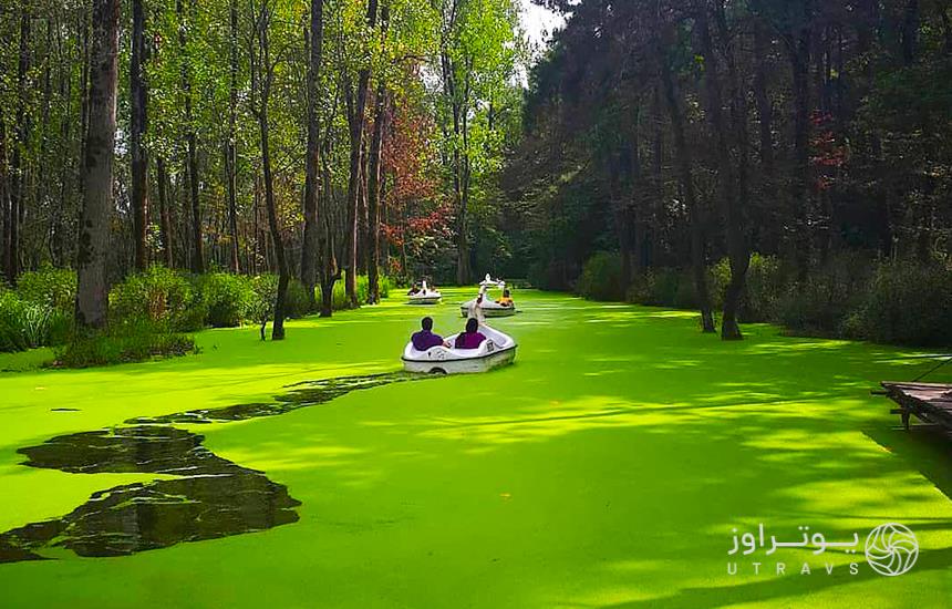 جنگل سراوان رشت