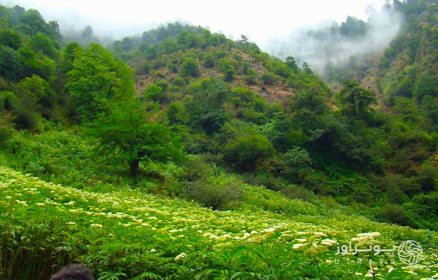 جاهای دیدنی فومن