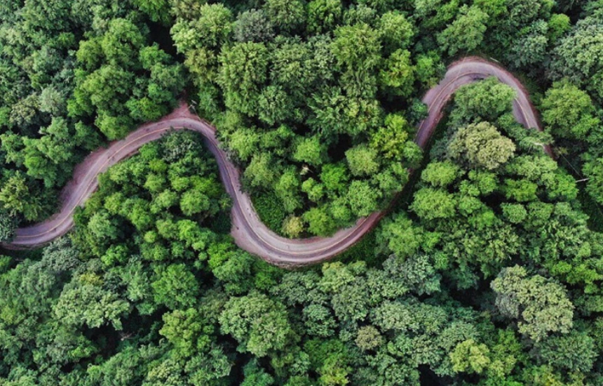 پارک جنگلی ۷۰۰ ساله 