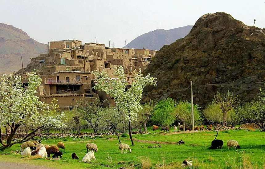 روستای پلکانی طرق مشهد و گله‌ای درحال چریدن در مرتع سرسبز آن