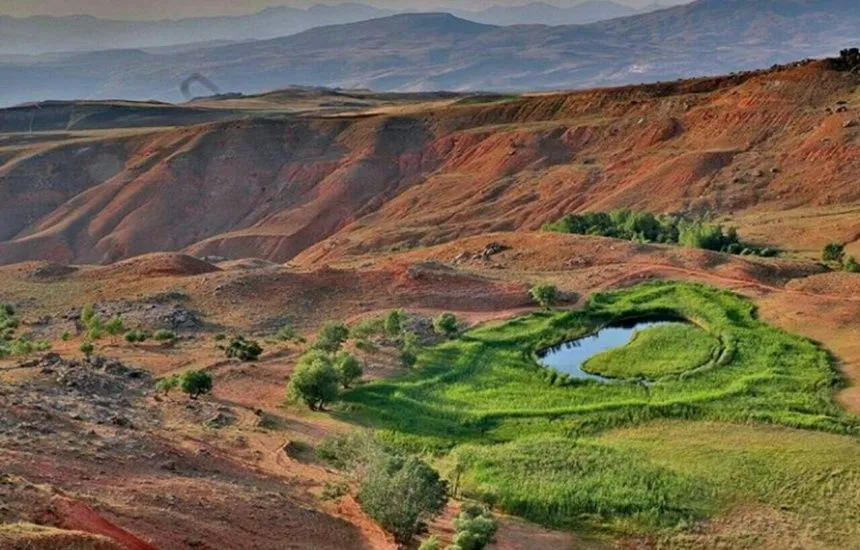 چمن متحرک چملی