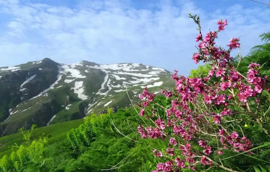 کوه چهل‌چشمه مریوان