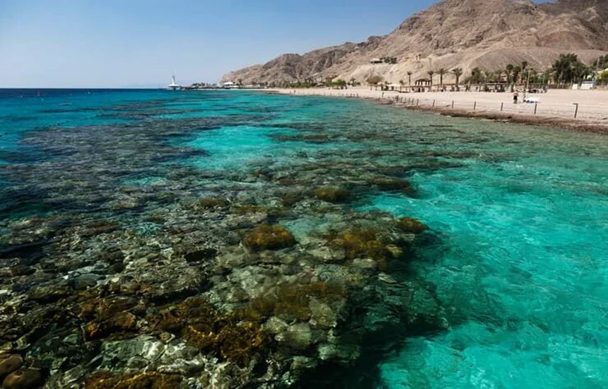 ساحل مرجان کیش