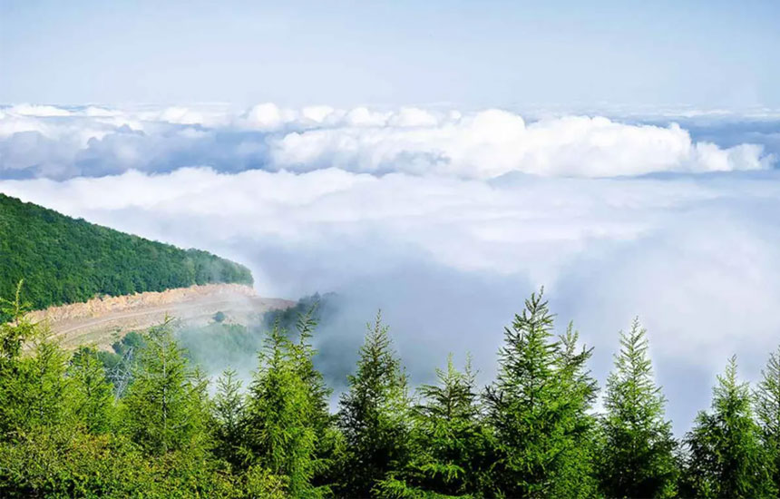 جنگل های ایران؛ ابر