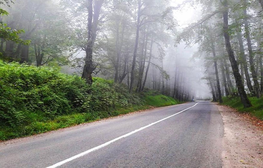 جنگل های ایران؛ دالخانی