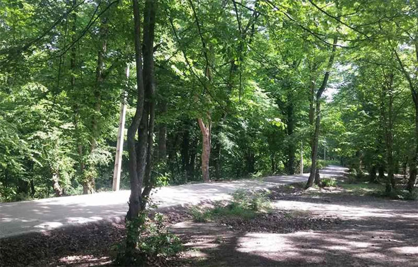 جنگل های ایران؛ فیلبند