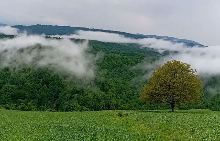 جنگل های ایران؛ کوهسارکنده