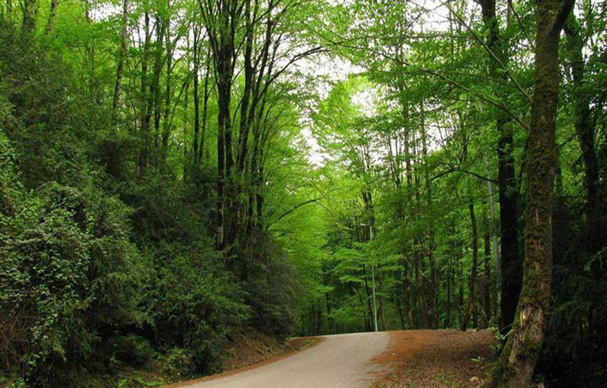 جنگل های ایران؛ پلنگدره