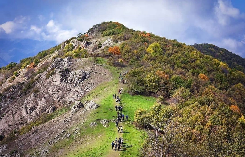 جنگل های ایران؛ پیرداوود
