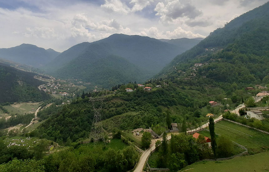 جنگل های ایران؛ رویان