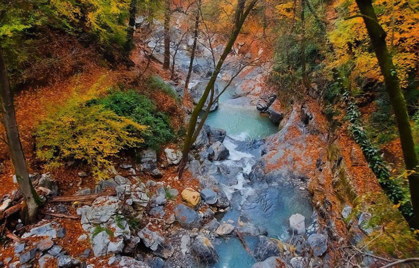 جنگل های ایران؛ شیرآباد