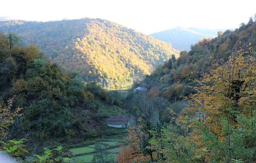 جنگل های ایران؛ نقلهبر