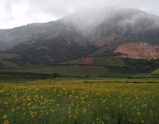 پارک ملی گلستان