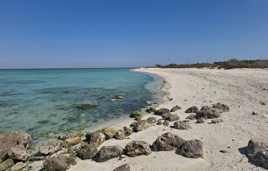 جزایر دیدنی اطراف کیش