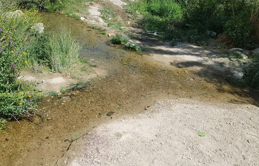 چشمه آب‌گرم ابدال