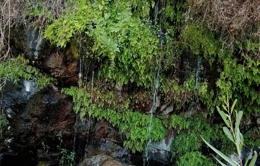 جاهای دیدنی سبزوار؛ سفر به شهر سربداران با جاذبه‌های تاریخی و طبیعی بی‌مانند