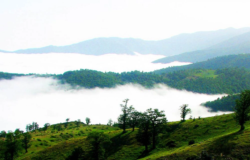 جنگل ابر شاهرود