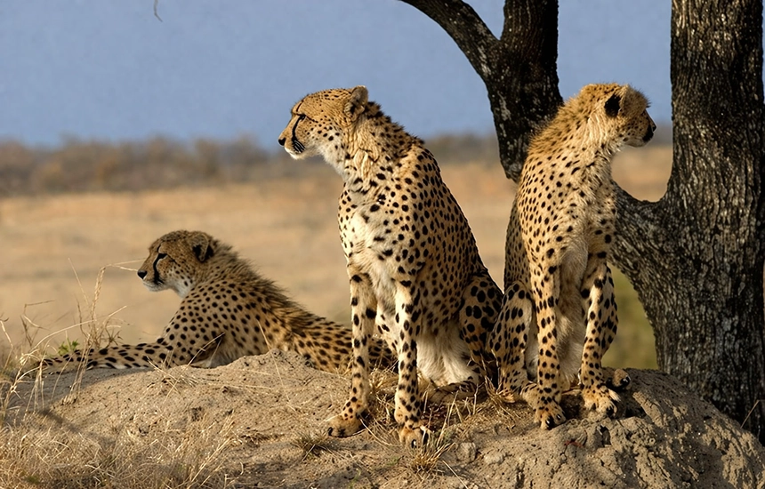 پارک ملی خارتوران شاهرود