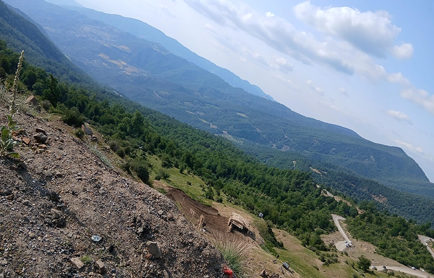 جنگل اولنگ شاهرود