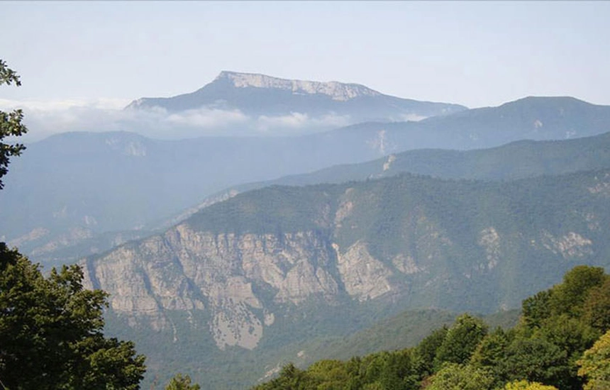 جنگل قطری شاهرود