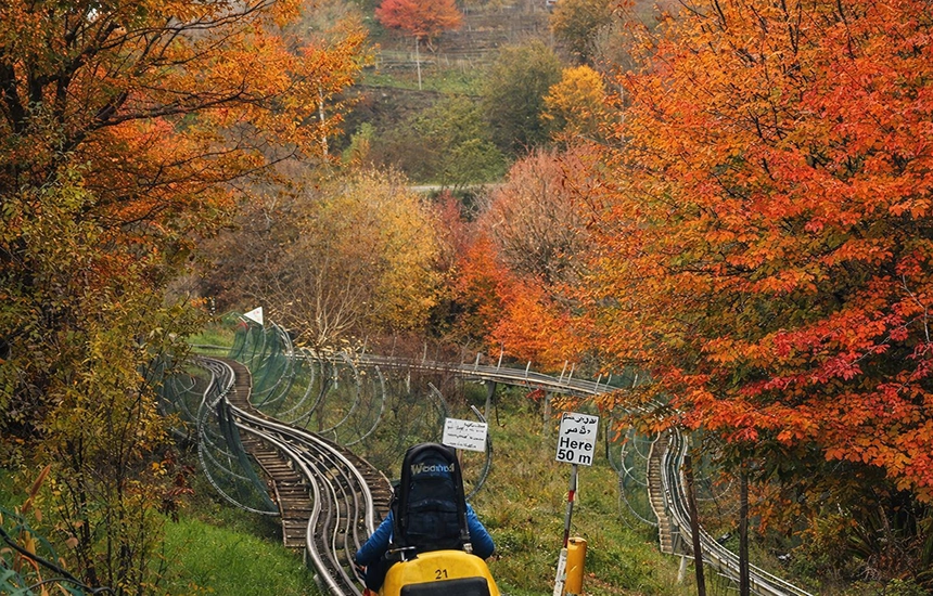 پارک جنگلی سیاهداران