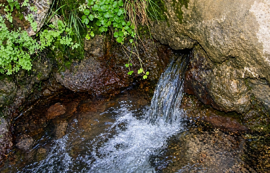 چشمه آب معدنی موسی زاهدان
